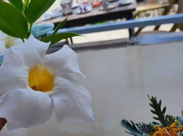 B&b Cappotto Civico 48