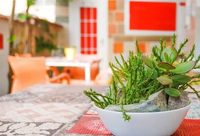 B&b Cappotto Civico 48