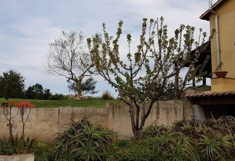 ベッドアンドブレックファースト Affittacamere Luti