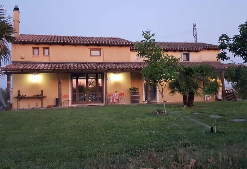 住宿加早餐  Affittacamere Luti