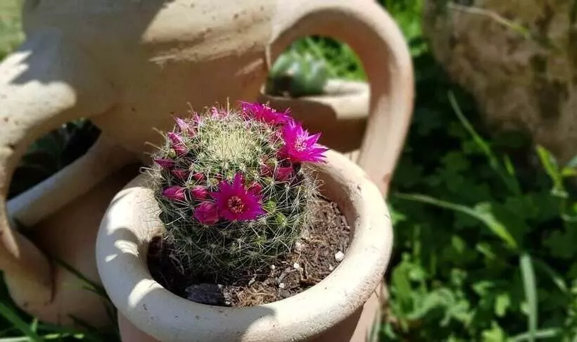 ベッドアンドブレックファースト Affittacamere Luti