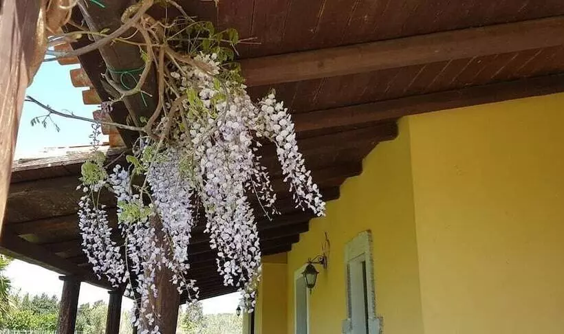 ベッドアンドブレックファースト Affittacamere Luti