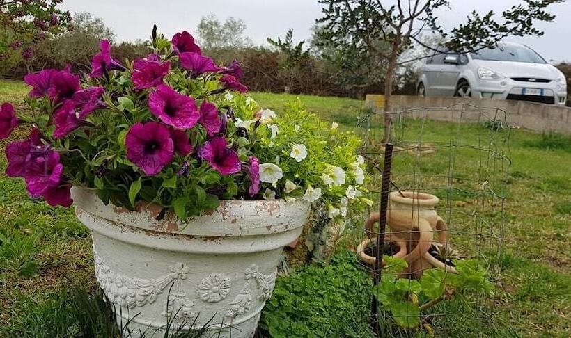 住宿加早餐  Affittacamere Luti