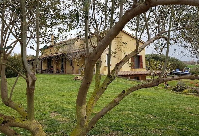 住宿加早餐  Affittacamere Luti