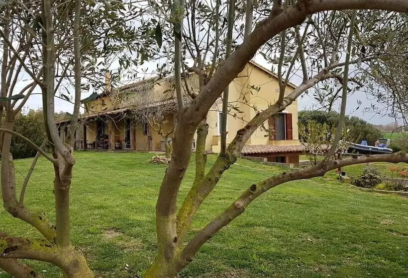 ベッドアンドブレックファースト Affittacamere Luti