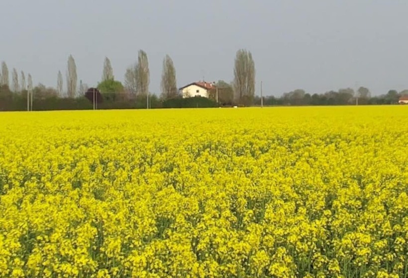 민박 I Pioppi Cipressini