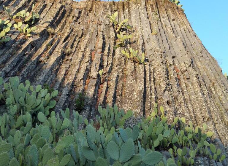 住宿加早餐  L'agrifoglio Di Emy