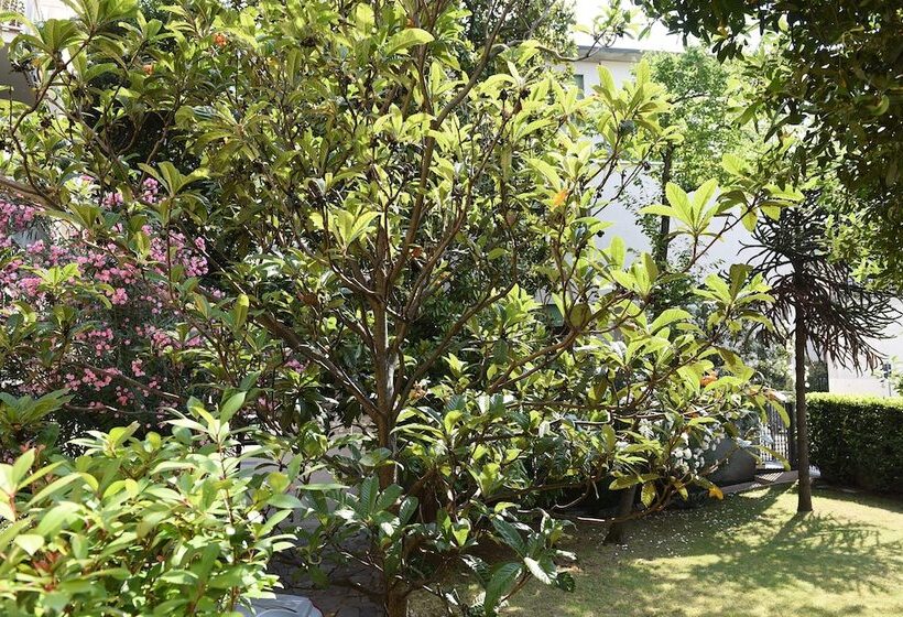 Bed and Breakfast Rondone Bianco 5 7