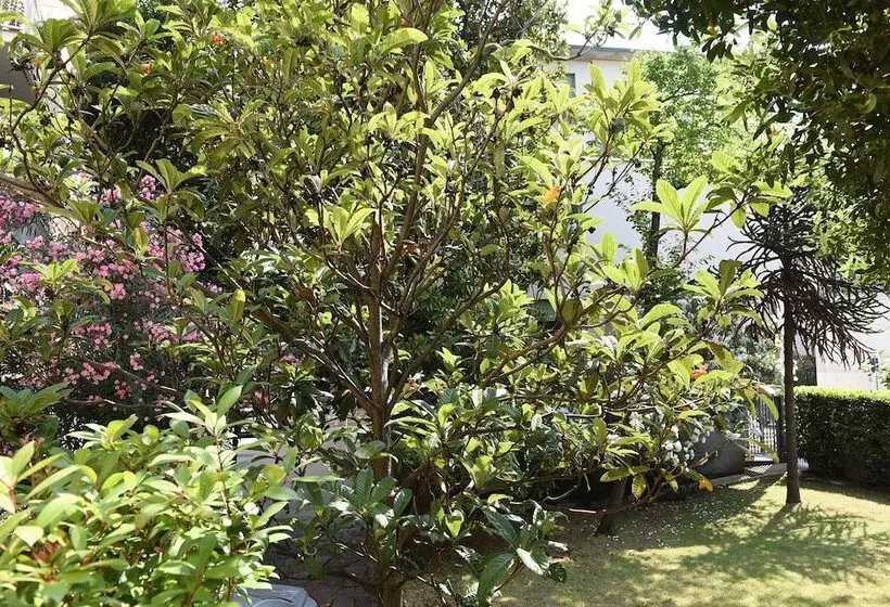 تختخواب و صبحانه Rondone Bianco 5 7