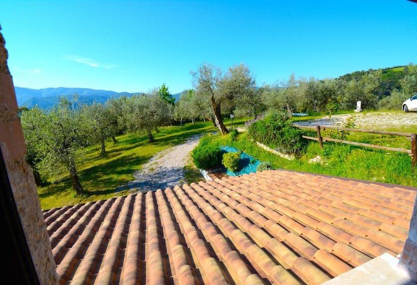 住宿加早餐 Villa Nocri