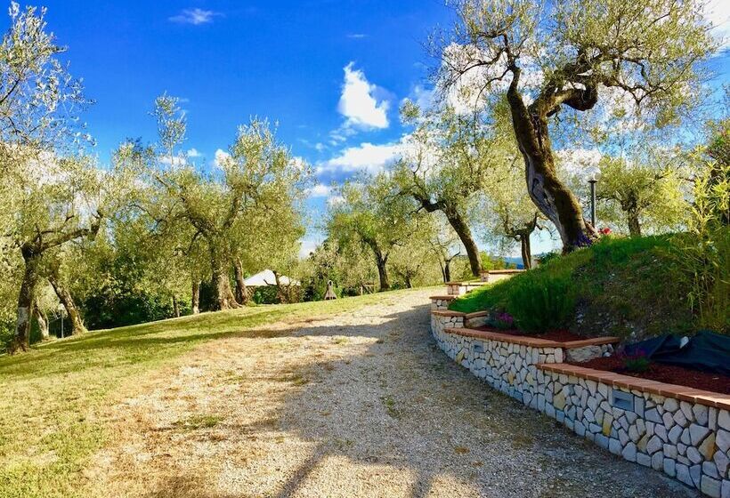 住宿加早餐 Villa Nocri