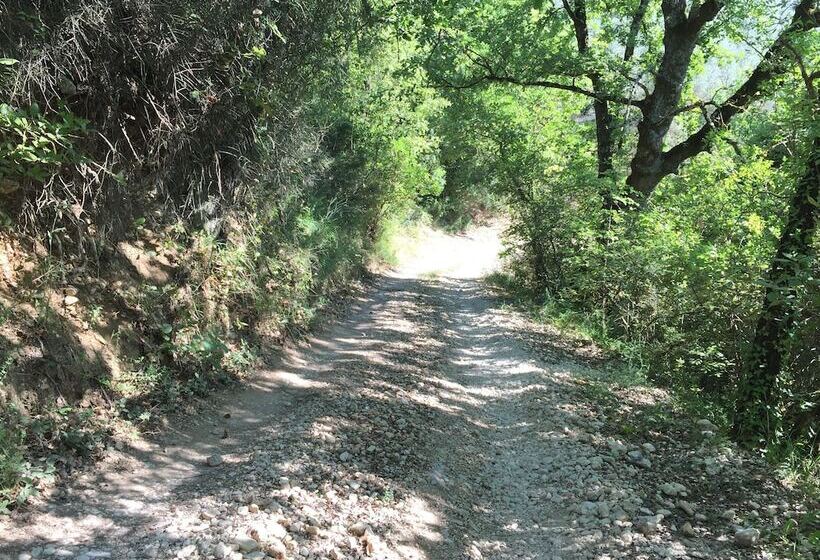 住宿加早餐 Villa Nocri