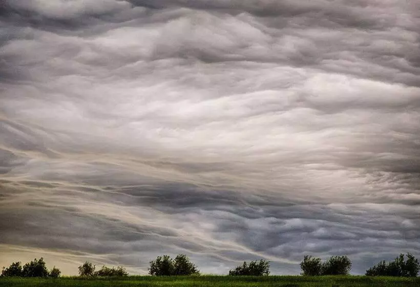 Maaseutuhotelli Agriturismo Casa Greppo   Il Mandorlo