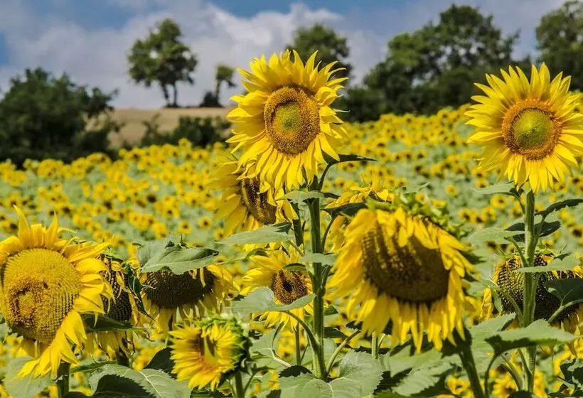 Maaseutuhotelli Agriturismo Casa Greppo   Il Mandorlo
