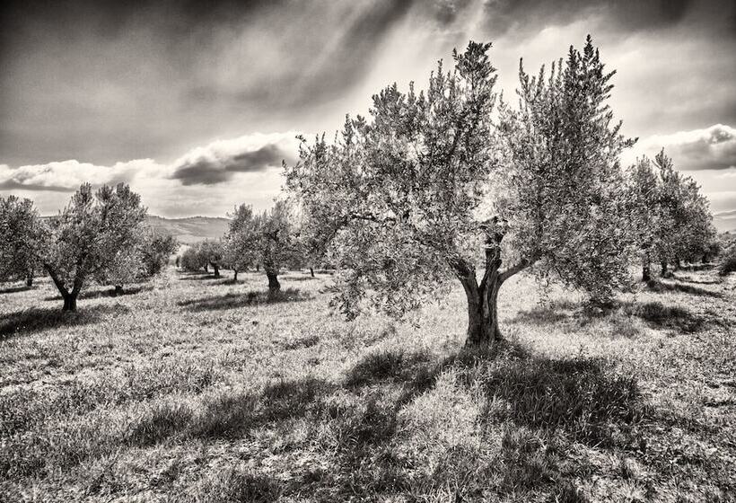 هتل روستایی Agriturismo Casa Greppo Il Mandorlo