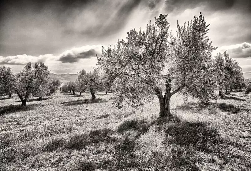 Maaseutuhotelli Agriturismo Casa Greppo   Il Mandorlo