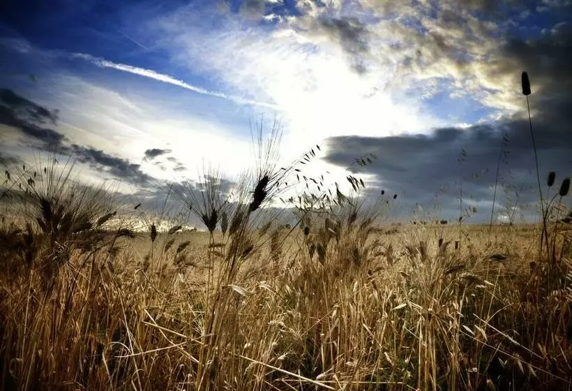 Maaseutuhotelli Agriturismo Casa Greppo   Il Mandorlo