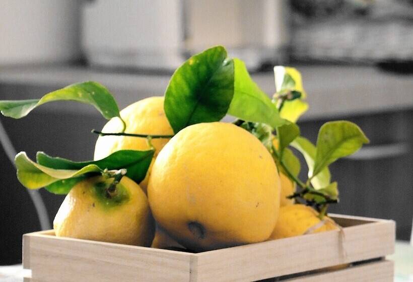 乡村酒店 Agriturismo La Dimora Dei Re