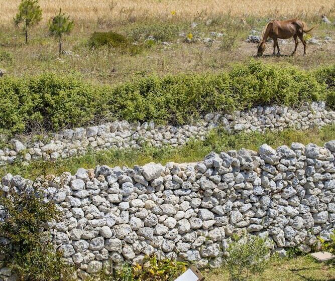 בית מלון כפרי Agriturismo La Palascìa
