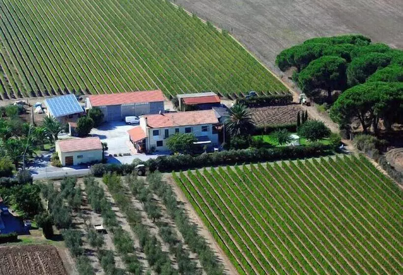 田舎風ホテル Agriturismo La Rondine