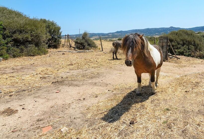 乡村酒店  Agriturismo Lu Nodu