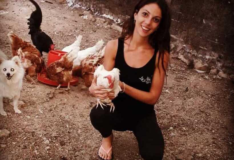 乡村酒店  Agriturismo Lu Nodu