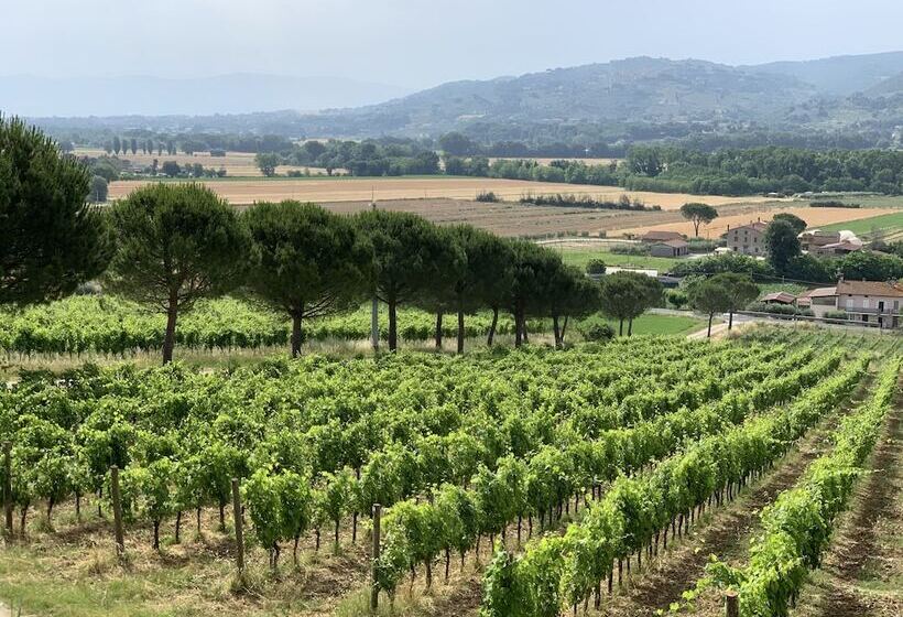 乡村酒店 Agriturismo Wine Casale Villa Chiara