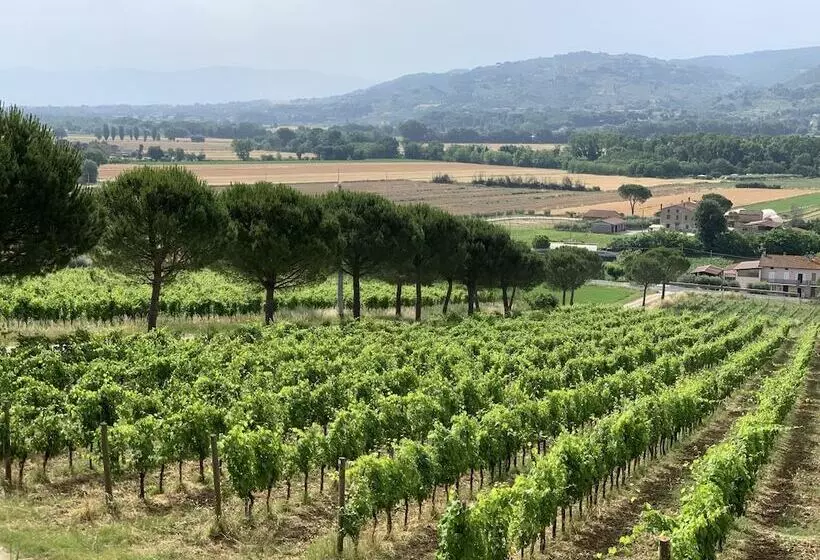 Maaseutuhotelli Agriturismo Wine Casale Villa Chiara