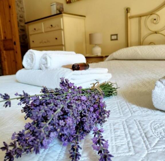 בית מלון כפרי Corte Davini Agriturismo