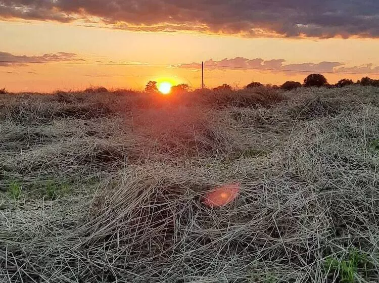 Maaseutuhotelli Corte Davini Agriturismo