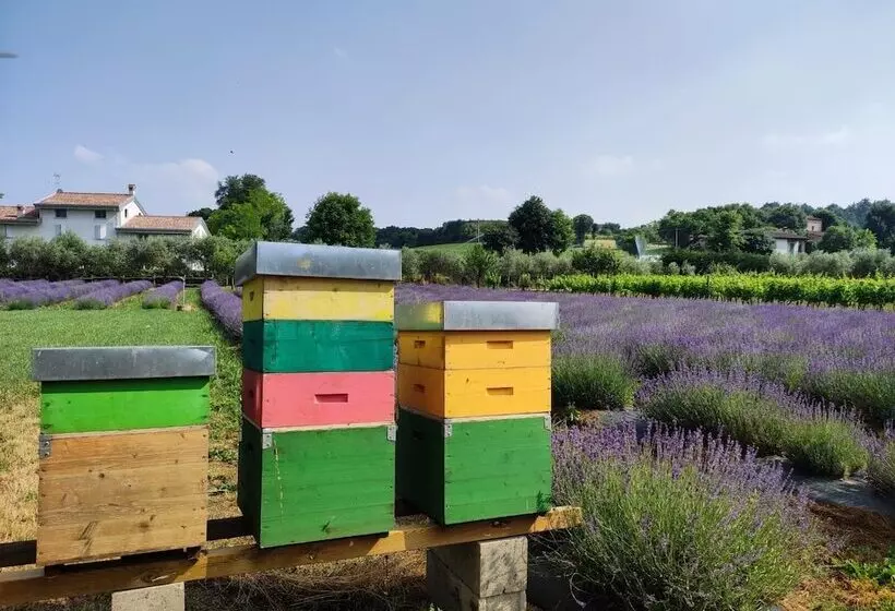 Maaseutuhotelli Corte Davini Agriturismo