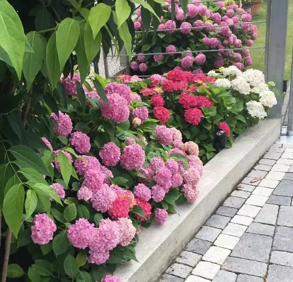 Majatalo La Lanterna Camere & More