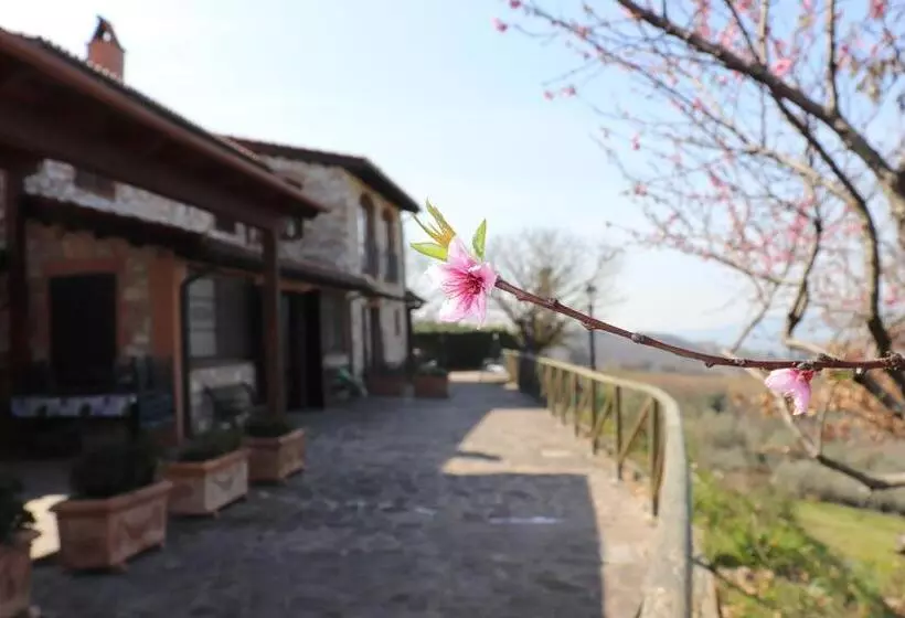 B&b Casale Roshlee
