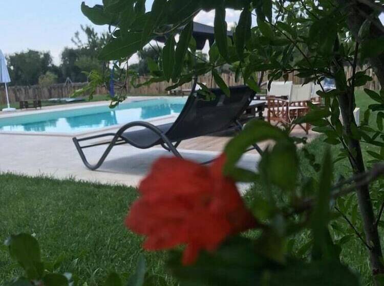 Bed and Breakfast Casa Del Grifone