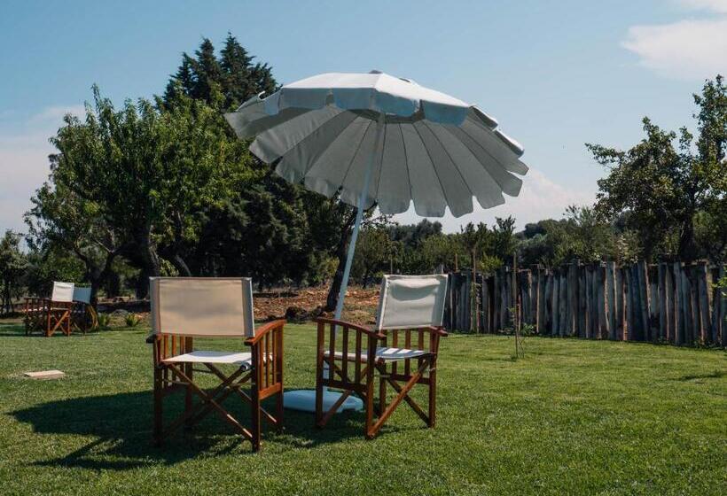 Bed and Breakfast Casa Del Grifone