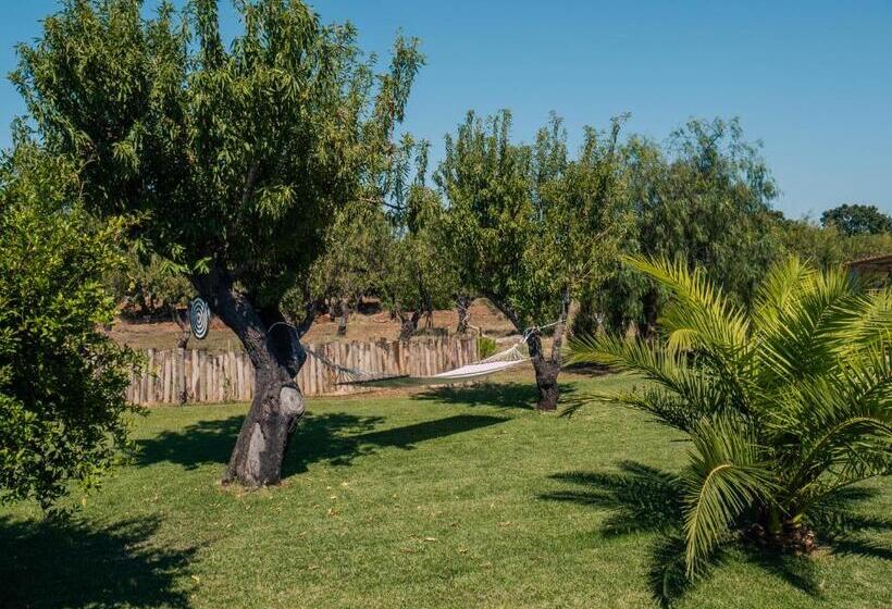 Bed and Breakfast Casa Del Grifone