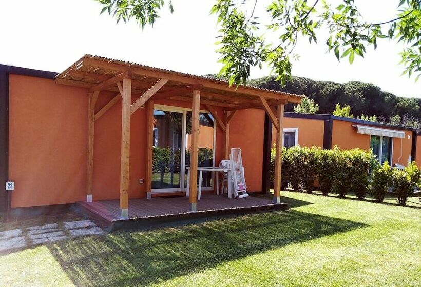 בית מלון כפרי Campeggio Bocca Di Cecina