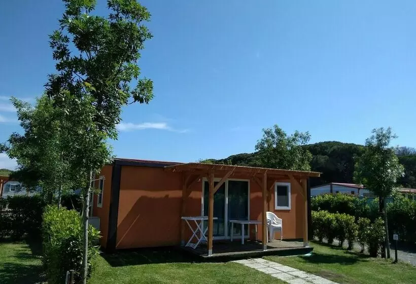 Hotelli Campeggio Bocca Di Cecina