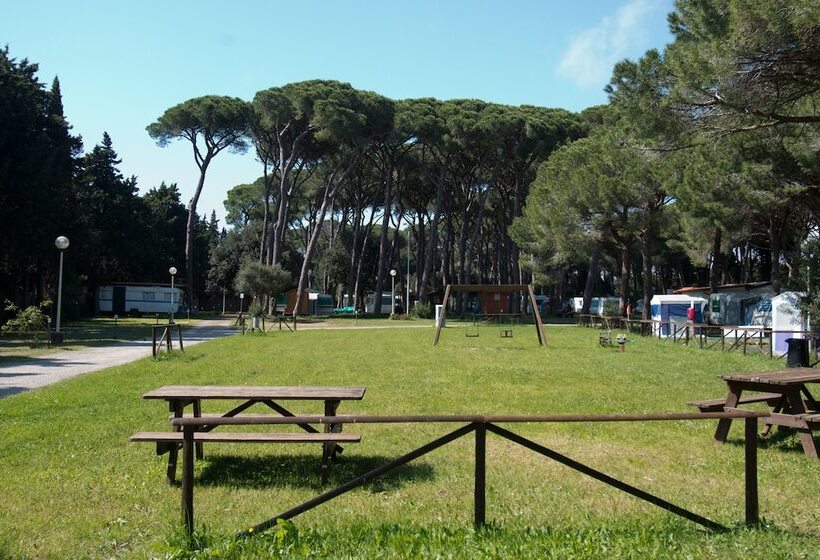 בית מלון כפרי Campeggio Bocca Di Cecina