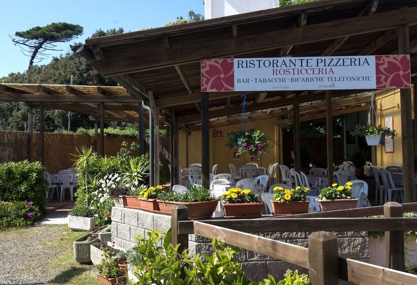 בית מלון כפרי Campeggio Bocca Di Cecina