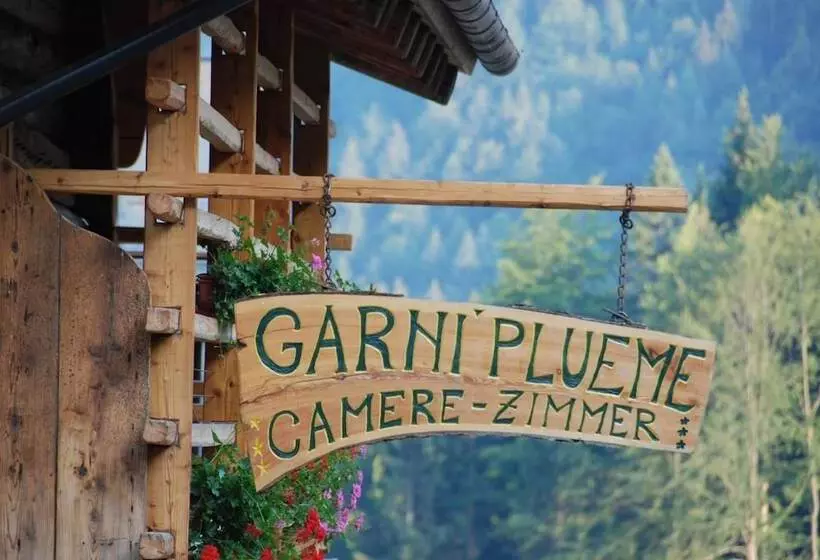 ホテル Garni Plueme