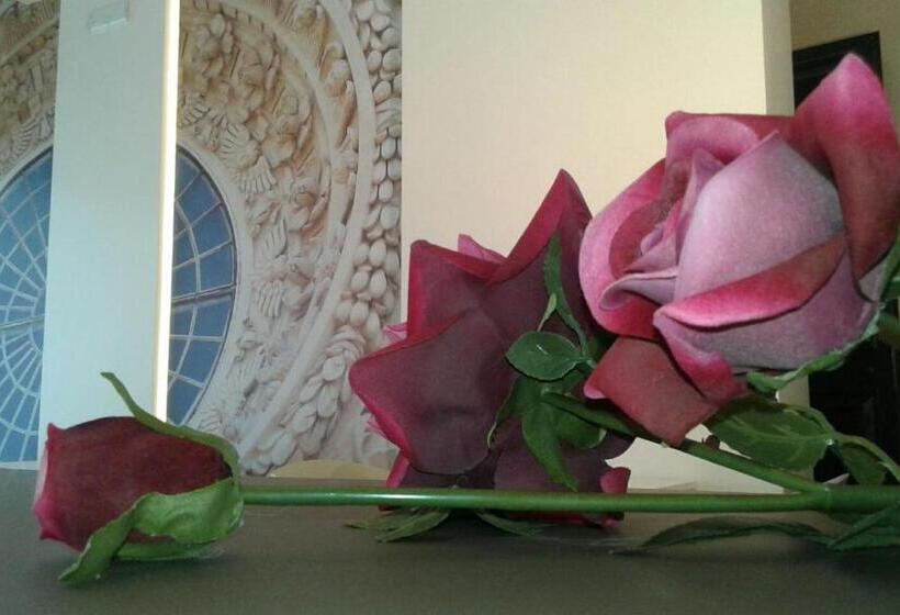 Luxury B&b Coccolhouse