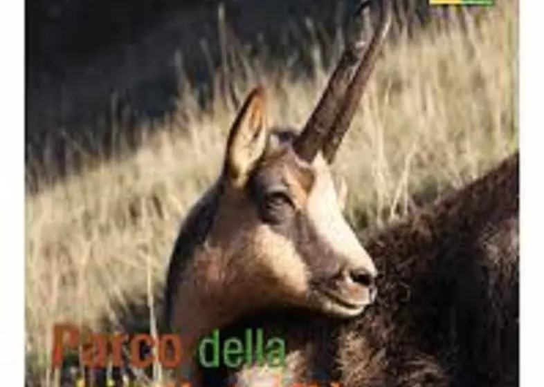 پانسیون B&b Residence Armonia Sulmona