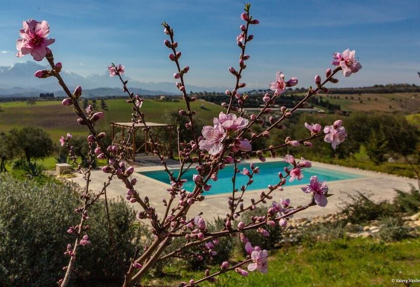 פנסיון B&b Torre Dell Angelo