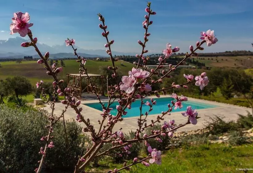 Majatalo B&b Torre Dell Angelo