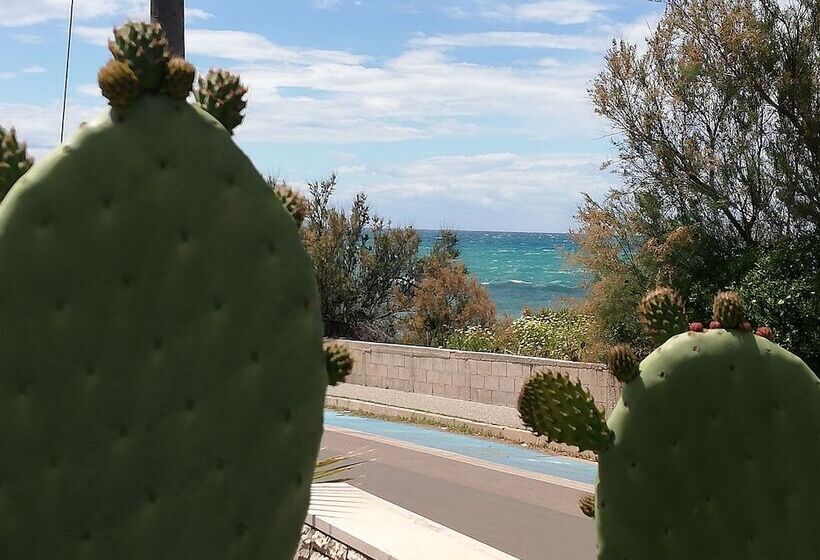 펜션 Guest House Mina