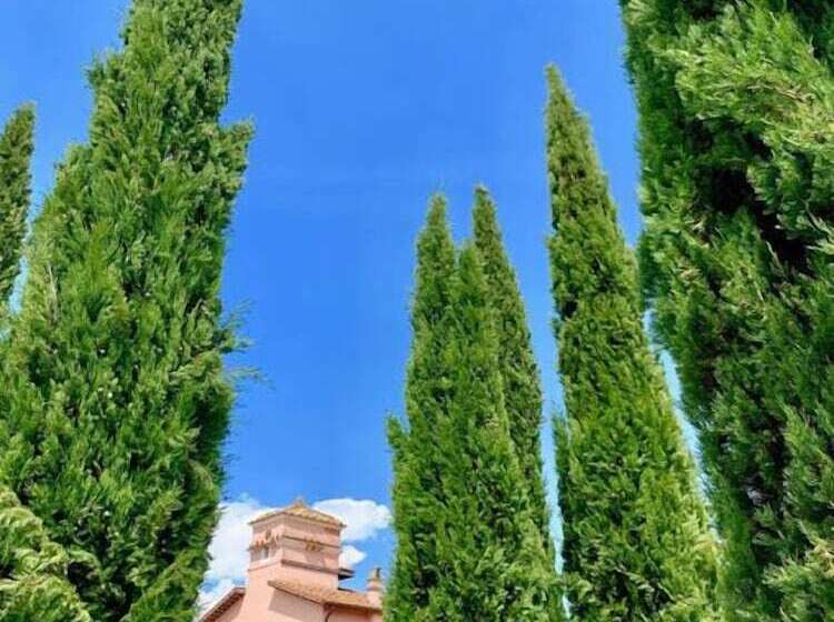 بنسيون La Torretta Guest House