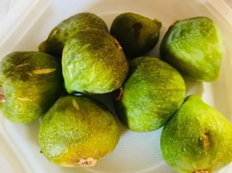 Aamiaismajoitus (B&B) La Collina