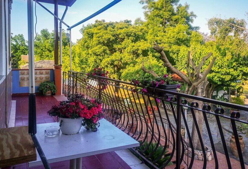 בית מלון כפרי Camping Almoetia