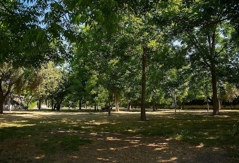 בית מלון כפרי Camping Almoetia